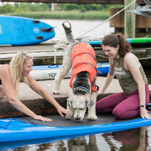 a woman sitting on a boat in the water