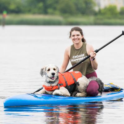 a dog riding on the back of a boat in the water
