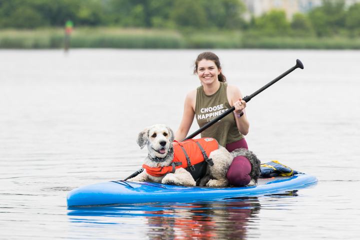 a dog riding on the back of a boat in the water