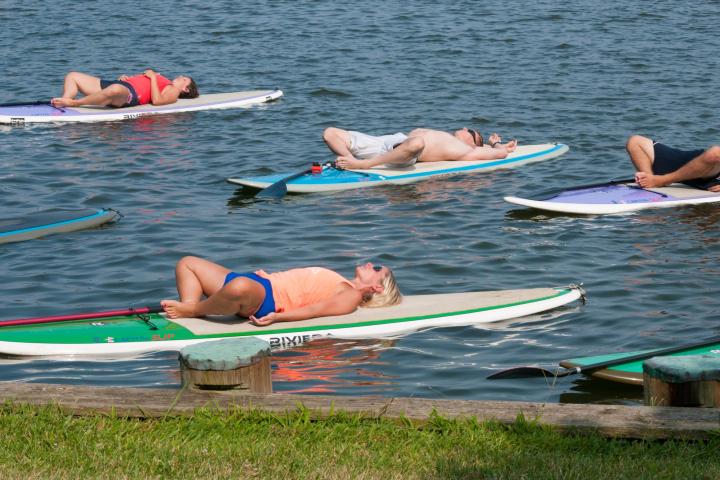 Group of people doing yoga classes