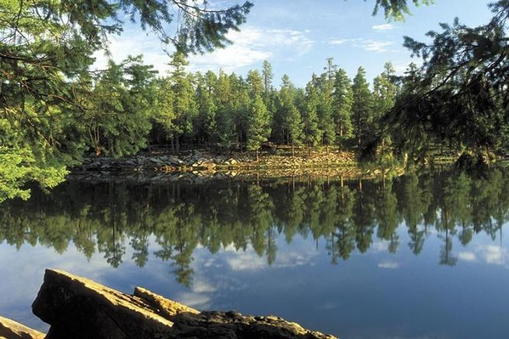 a body of water surrounded by trees
