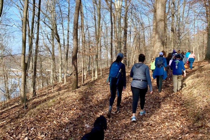 a group of people in a forest