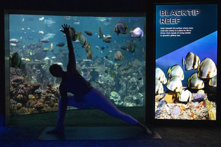 a person standing in front of a television