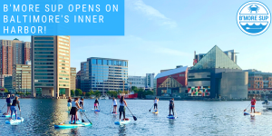 Baltimore Inner Harbor Padleboarding