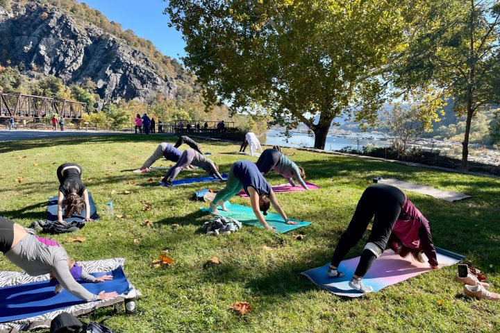 a group of people sitting at a park